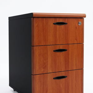 Archivador gerencial c/llave